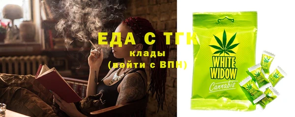 индика Новодвинск
