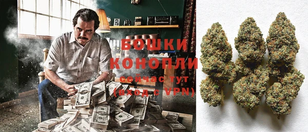 индика Новодвинск