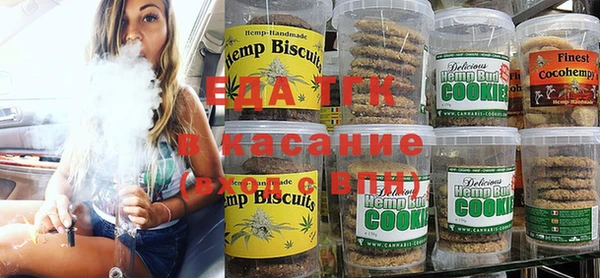 индика Новодвинск