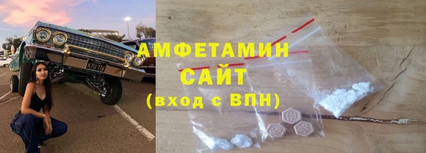 индика Новодвинск