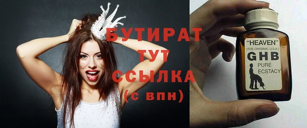 индика Новодвинск