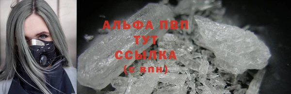 индика Новодвинск