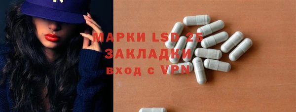 индика Новодвинск