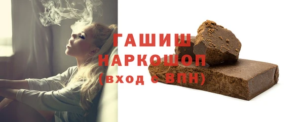 индика Новодвинск