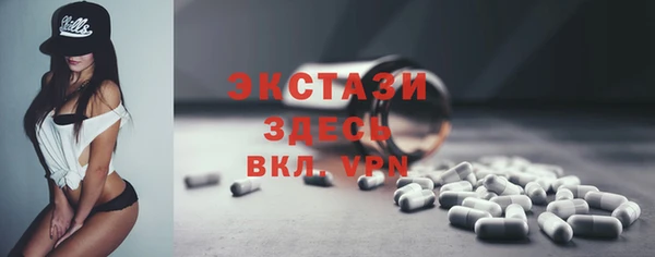 индика Новодвинск