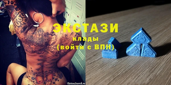 индика Новодвинск