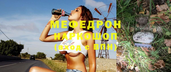 индика Новодвинск