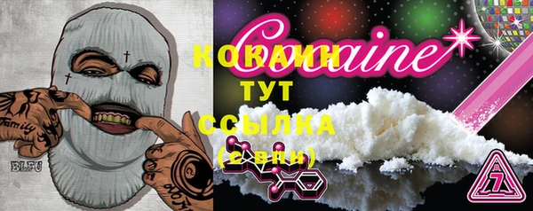 индика Новодвинск