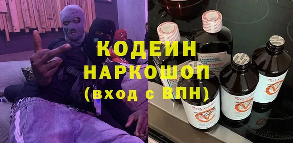 индика Новодвинск