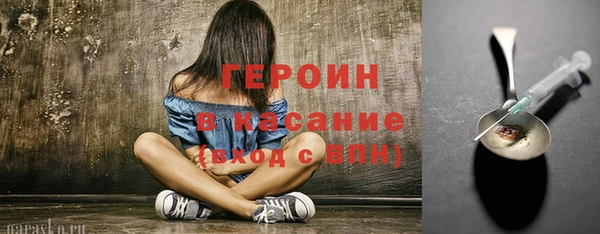 индика Новодвинск