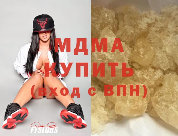индика Новодвинск