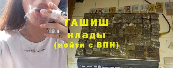 индика Новодвинск