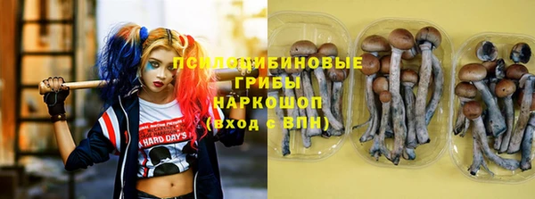 дживик Нязепетровск